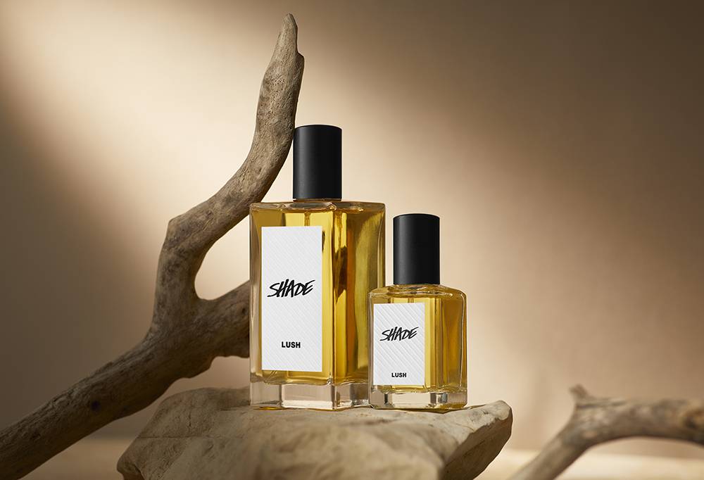 Shade perfume stands upon a thick wooden branch. In the forefront, the light creates shade against a smaller branch.